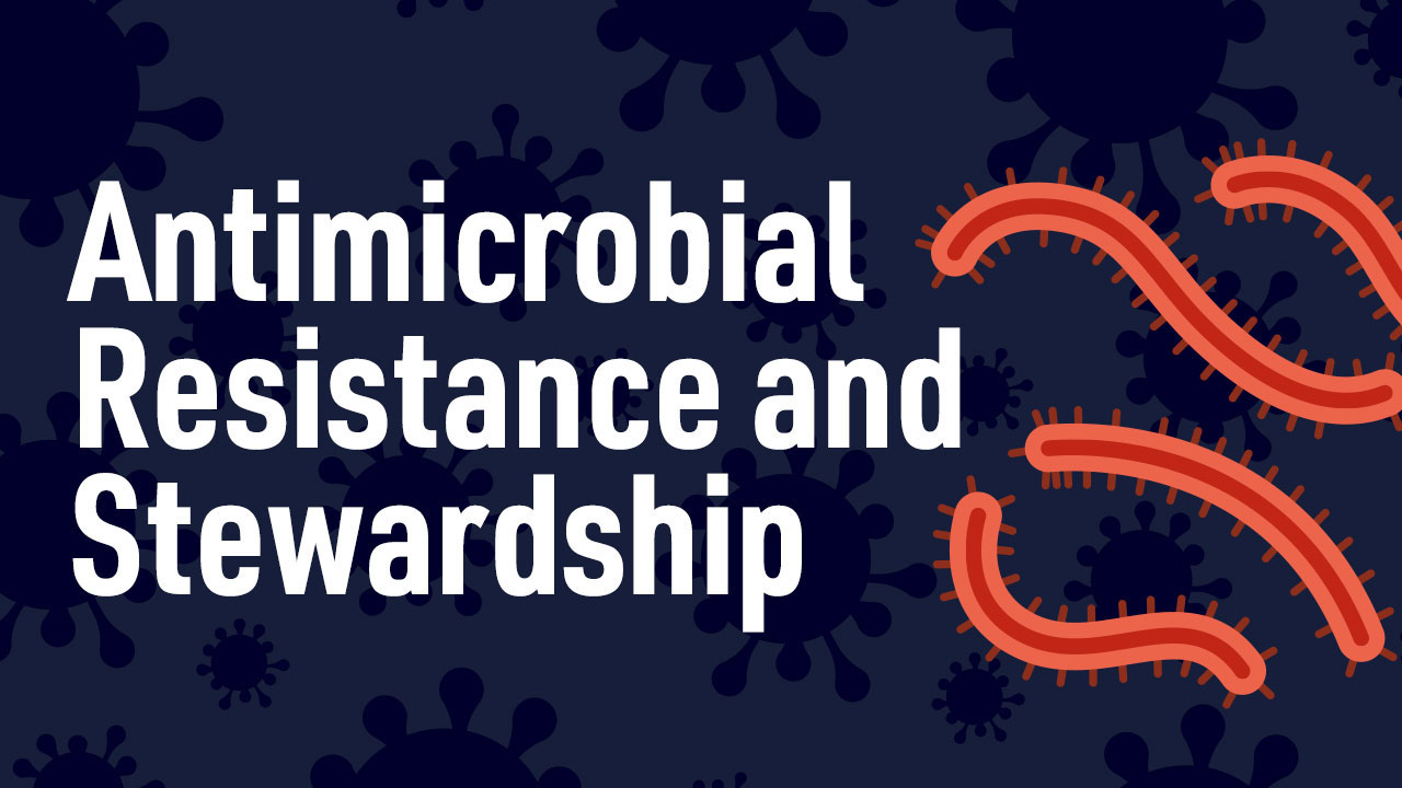 Image for Antimicrobial Resistance and Stewardship