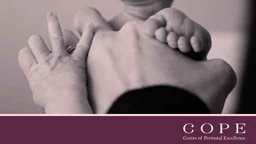 Image for National Perinatal Mental Health Guideline